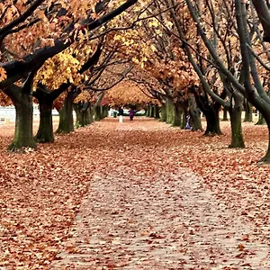 Holiday park Eaglehawk Park, Canberra